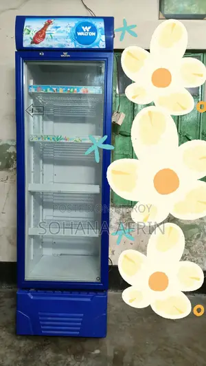 Walton Beverage Cooler 260 Liter for Sale