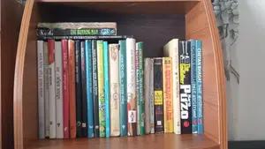 Novels from my Personal Collection.