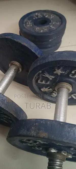 20kg Iron Dumbbell with Two Sticks