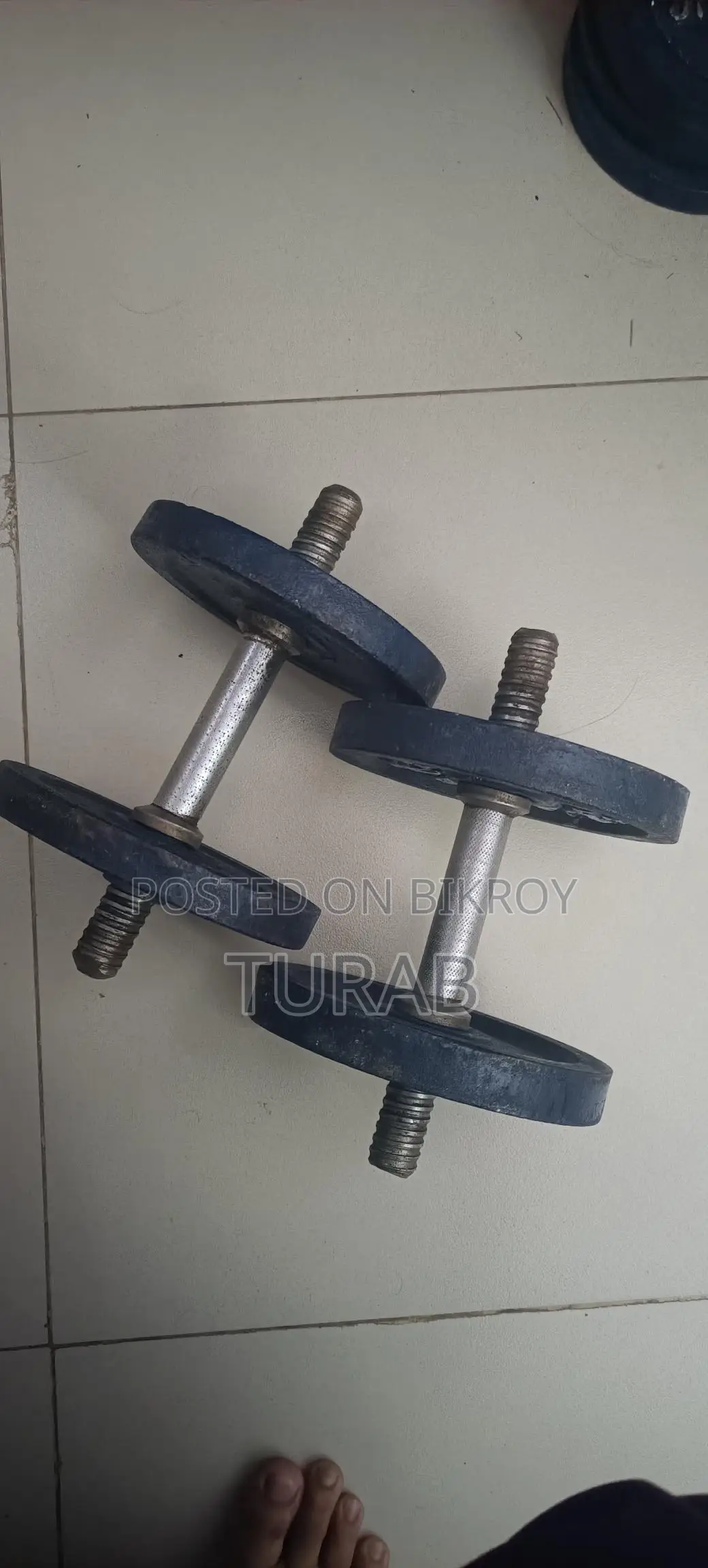 20kg Iron Dumbbell with Two Sticks