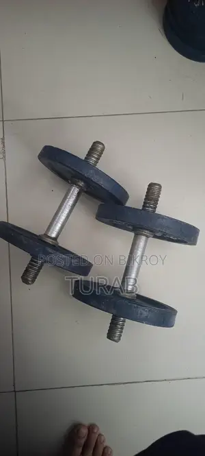 20kg Iron Dumbbell with Two Sticks