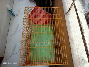 চাইনিজ খাচা