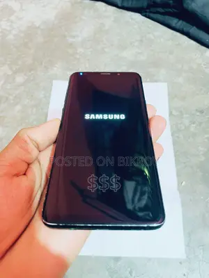 Samsung Galaxy S9 Plus 6/128 (Used)