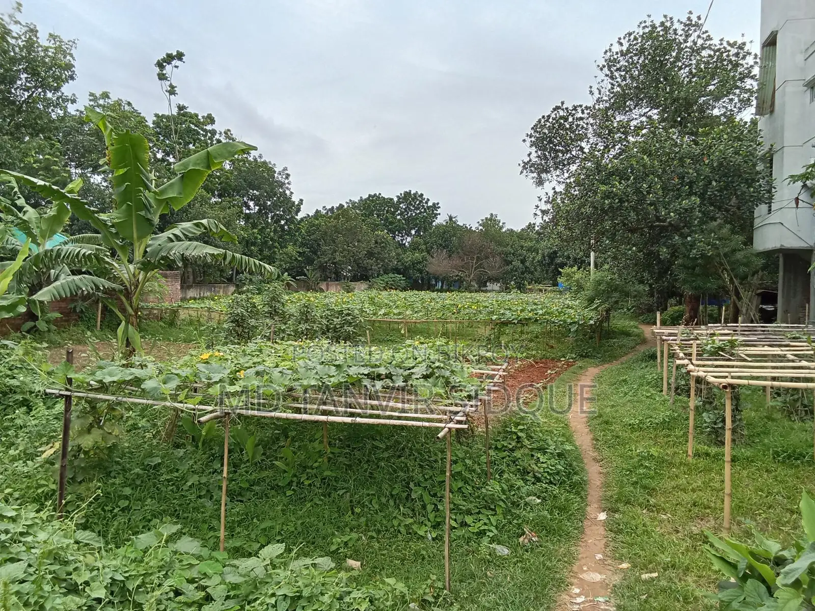 Land For Rent