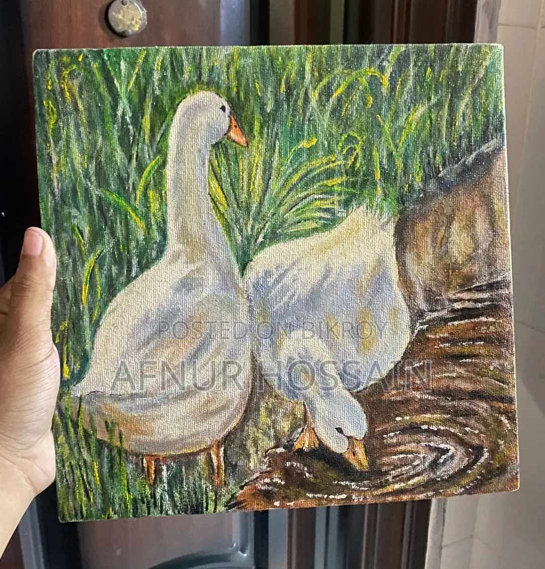 The Sunset Ducks