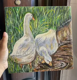 The Sunset Ducks