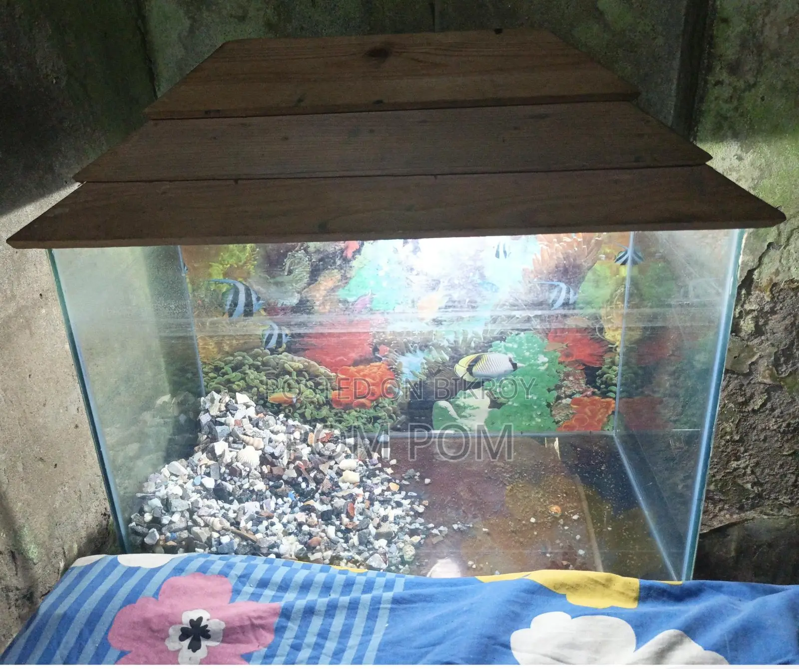 একটি একুরিয়াম সেল হবে