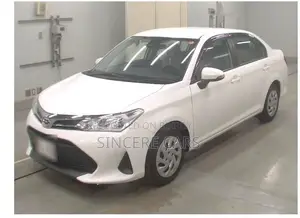 Toyota Axio EX NON HYB 43000 2022
