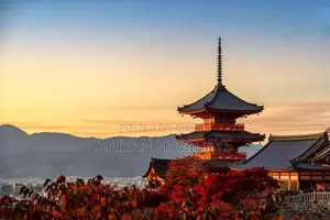 Japan Tourist Visa