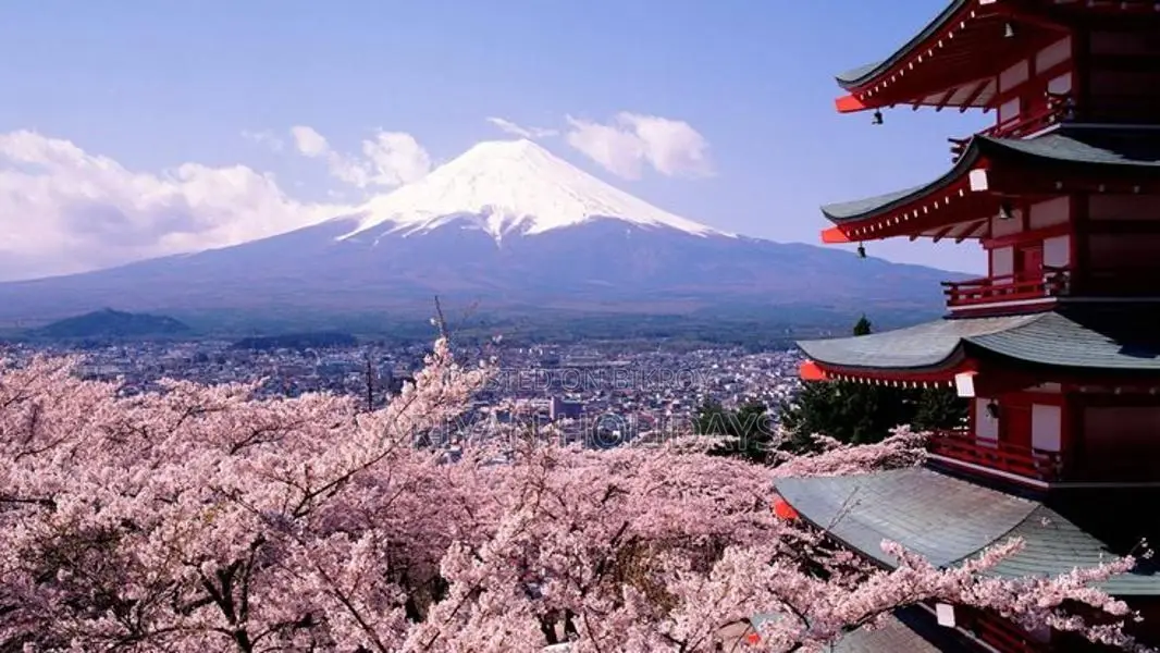 Japan Tourist Visa
