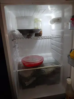 Singer Fridge