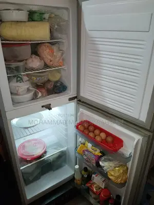 Singer Fridge