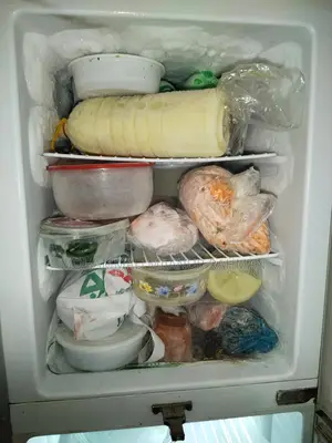 Singer Fridge