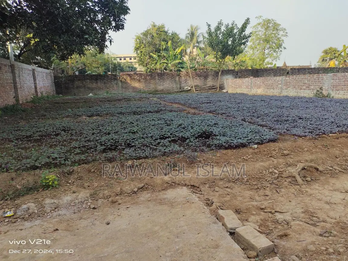 06 Decimal Plot for Sale, Birulia