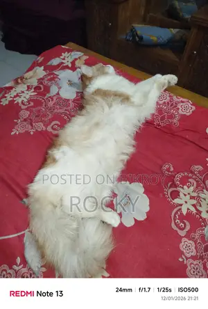 হাই কোয়ালিটি মিক্স বিট