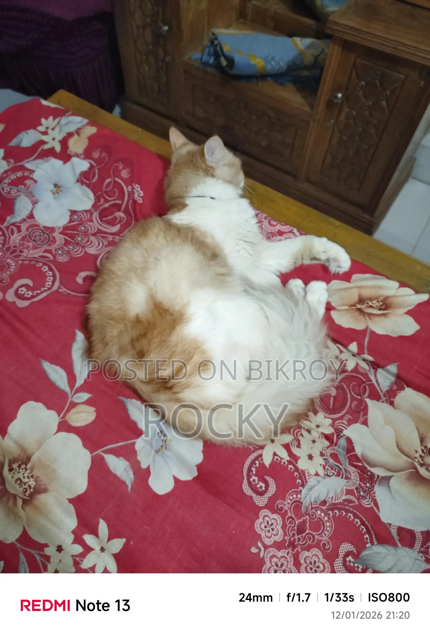 হাই কোয়ালিটি মিক্স বিট