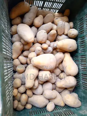 Potato & Onion