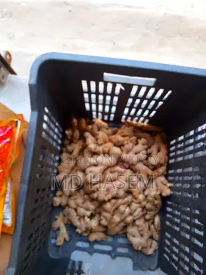 Potato & Onion
