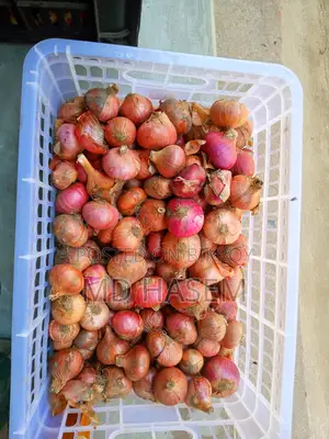 Potato & Onion