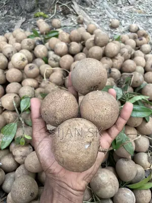 ছবেদা
