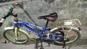 বাইসাইকেল