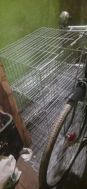 Bird cages for sale