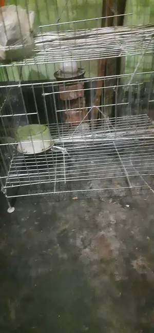 Bird cages for sale
