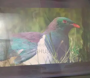 Samsung Monitor 17"
