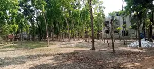 জমি বিক্রয় হইবে। মনিরামপুর পৌরসভার ভিতরে ৮ নম্বর কামারপুর ওয়ার্ড।
