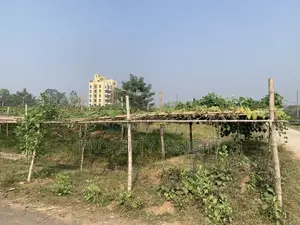সেরা সেক্টর- ১২ তে দারুণ দক্ষিণমুখী ৭.৫ কাঠা || পূর্বাচল