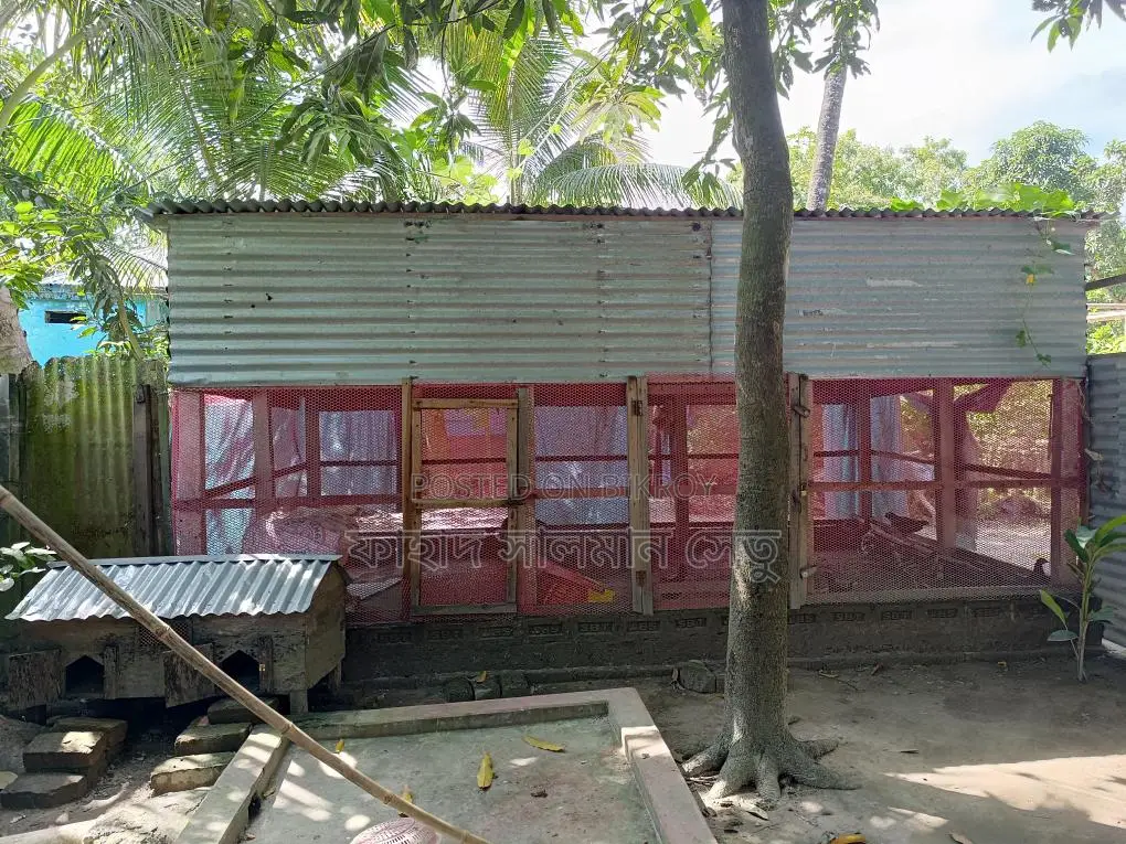 House with land for sale, ready to move in