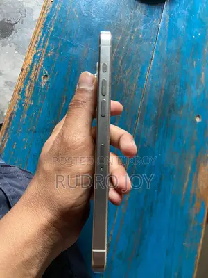 Apple iPhone 15 pro max Singapore (Used)