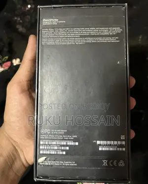 Apple iPhone 13 Pro Max (Used)
