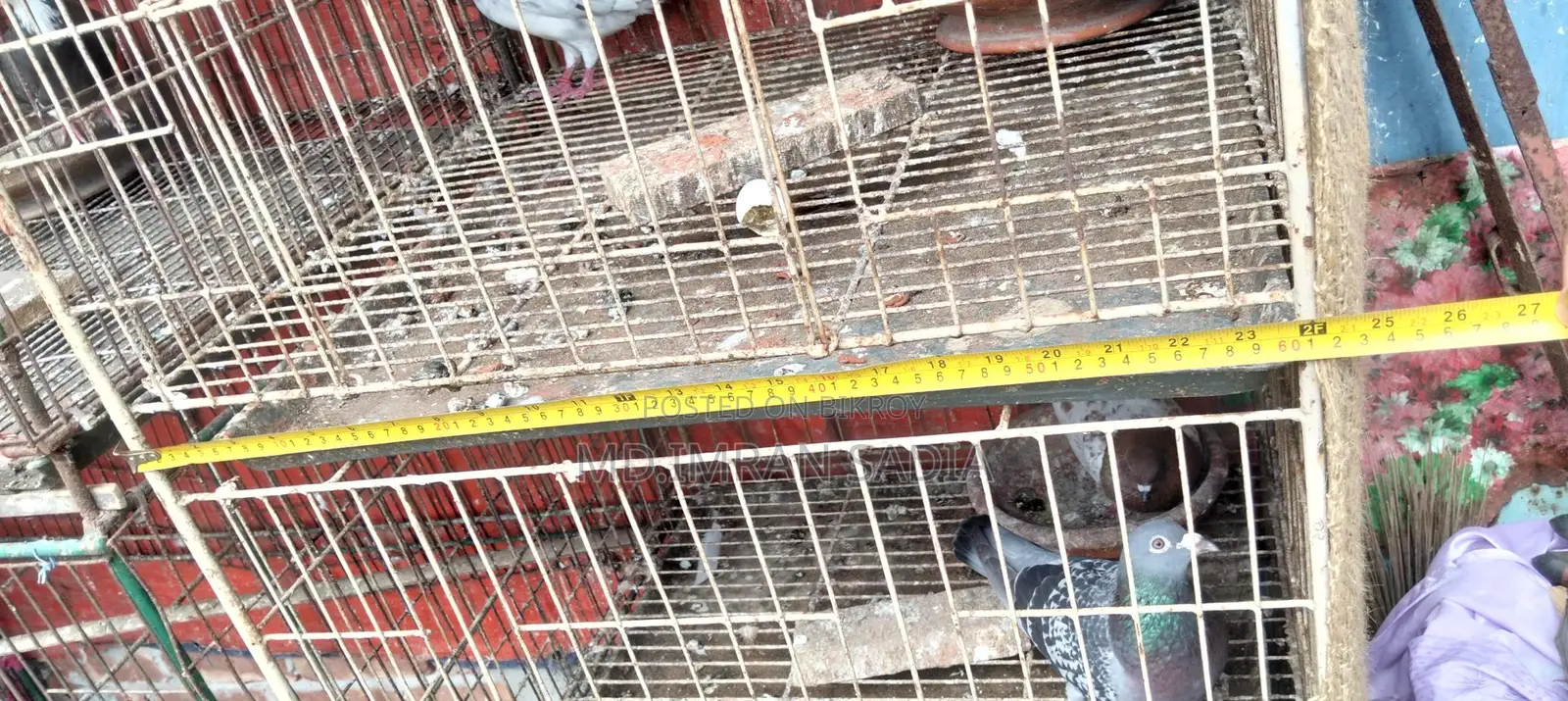 খাঁচা ছেল হবে