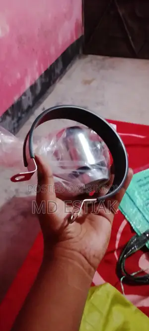 হলার।