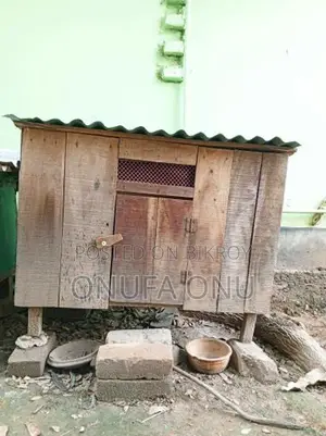 মুরগির ঘর