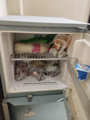 10 cft fridge