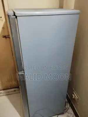 10 cft fridge