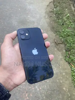 Apple iPhone 12 (Used)