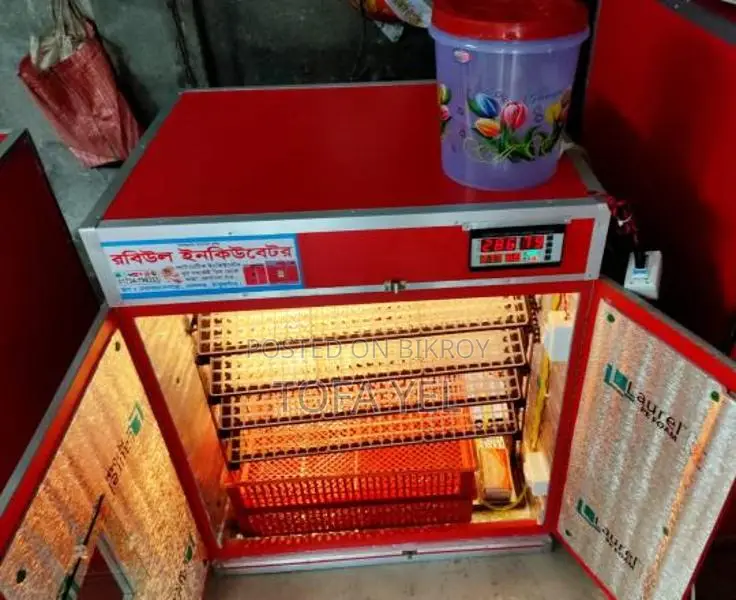 ফুল অটোমেটিক ইনকুবেটর