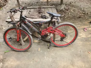 Non-Gear Bicycle
