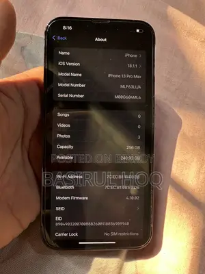 Apple iPhone 13 Pro Max (Used)