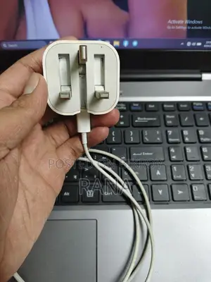 Apple 30 WT Orginal charger