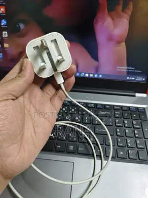 Apple 30 WT Orginal charger