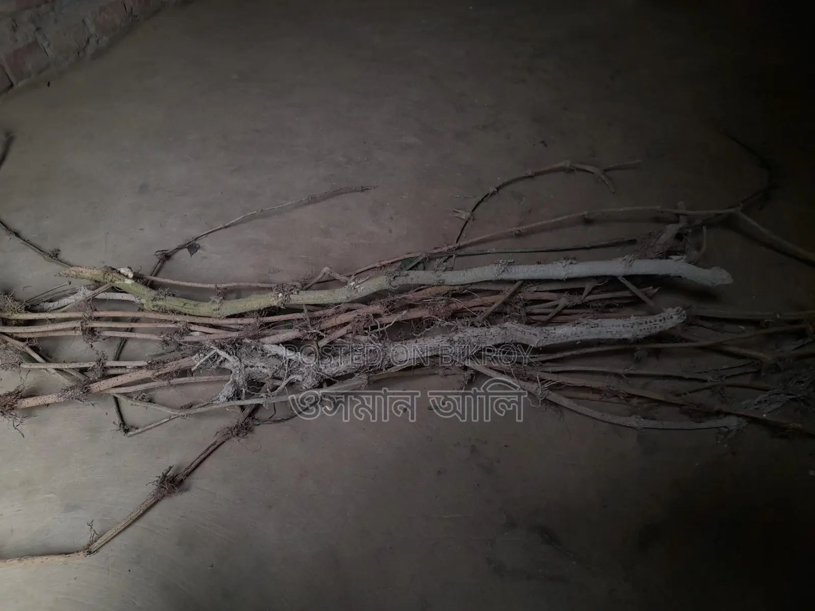 চুইঝাল ৩কেজি মাত্র ৯০০