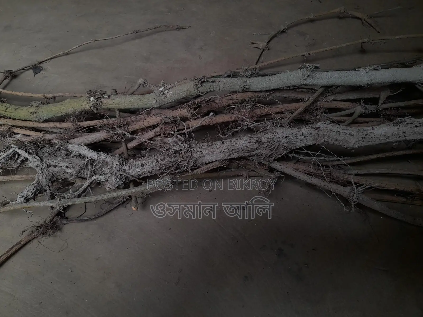 চুইঝাল ৩কেজি মাত্র ৯০০