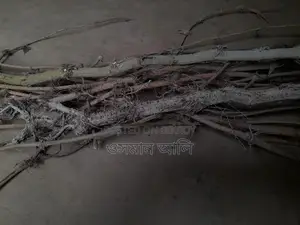 চুইঝাল ৩কেজি মাত্র ৯০০