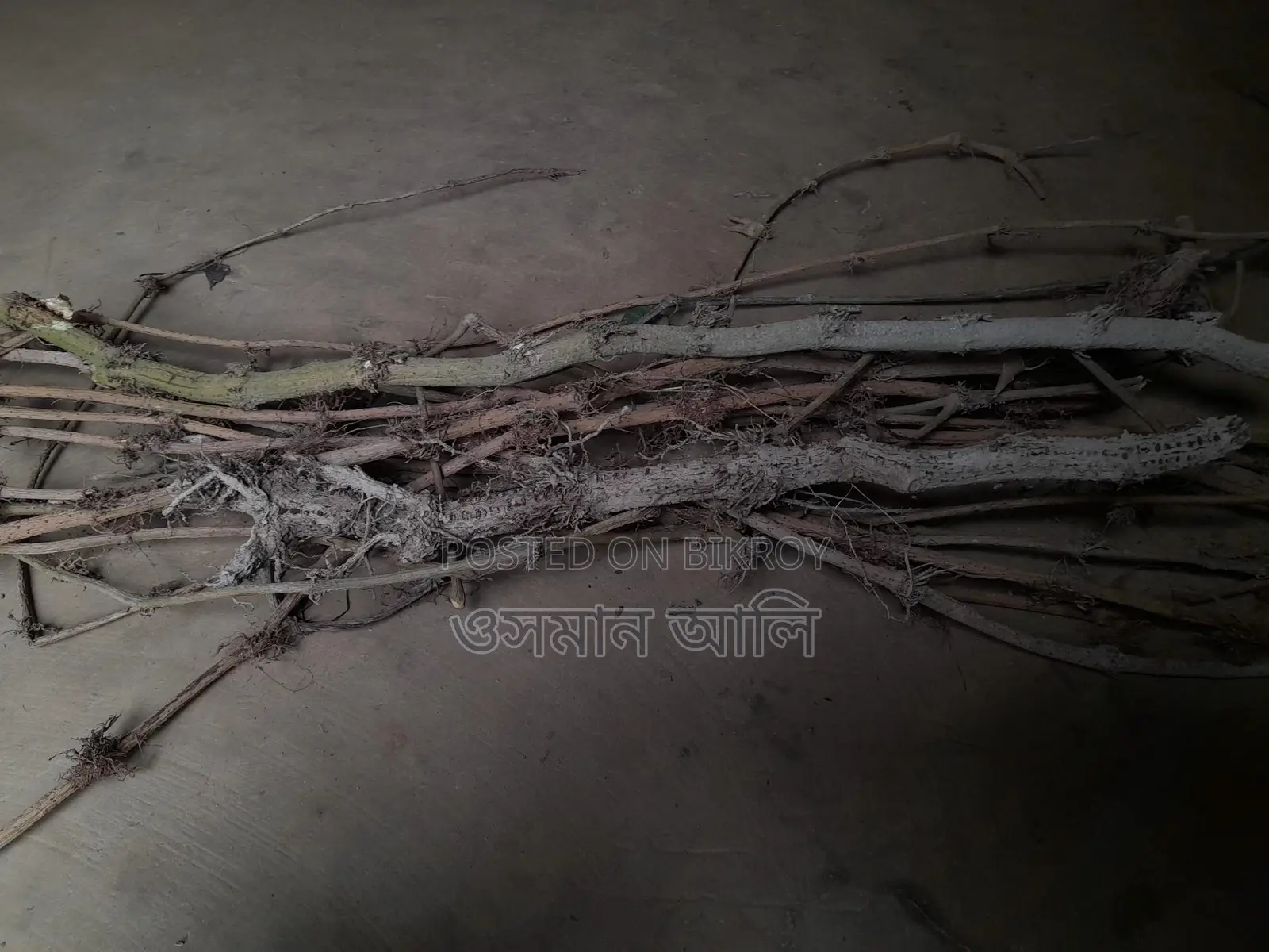 চুইঝাল ৩কেজি মাত্র ৯০০