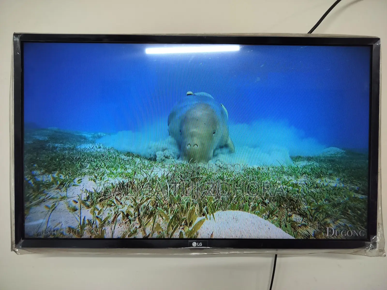 LG TV