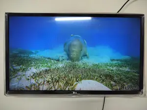 LG TV